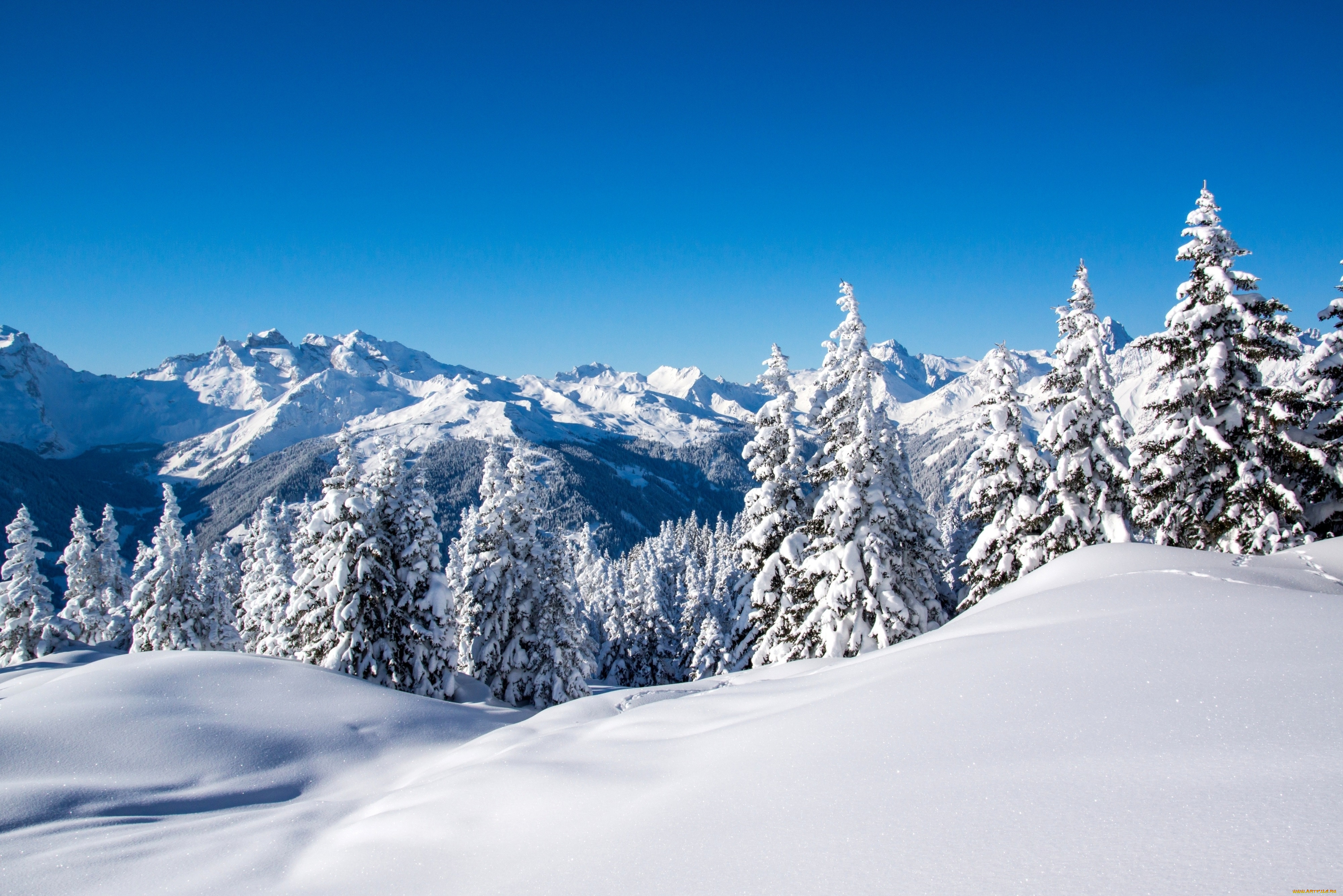 Snowy mountains. Зимние горы. Горы снег. Заснеженные горы. Горы снег лес.